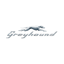 Greyhound