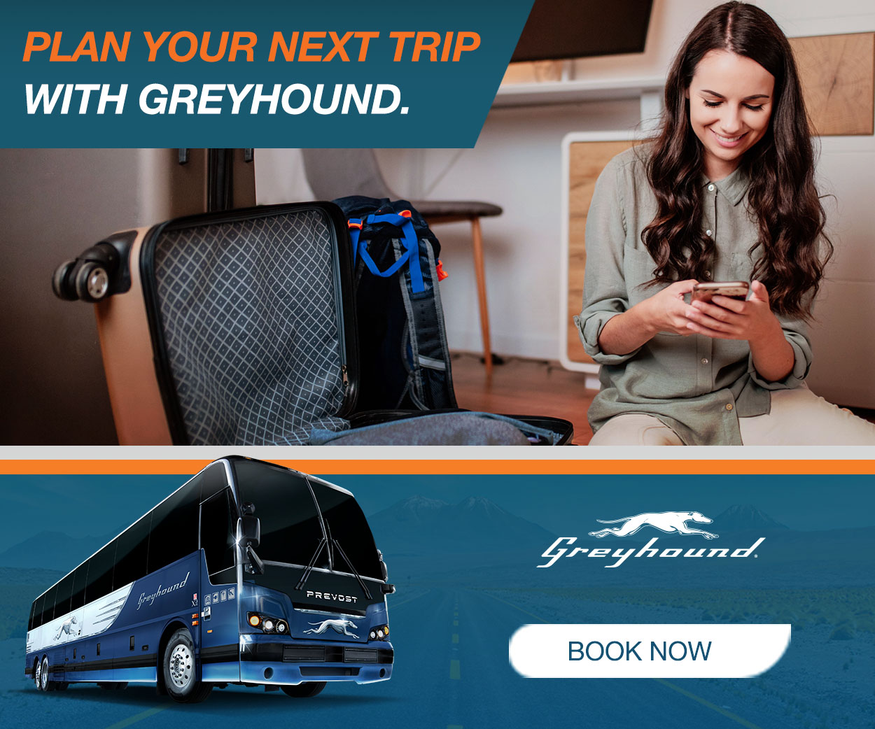 greyhound